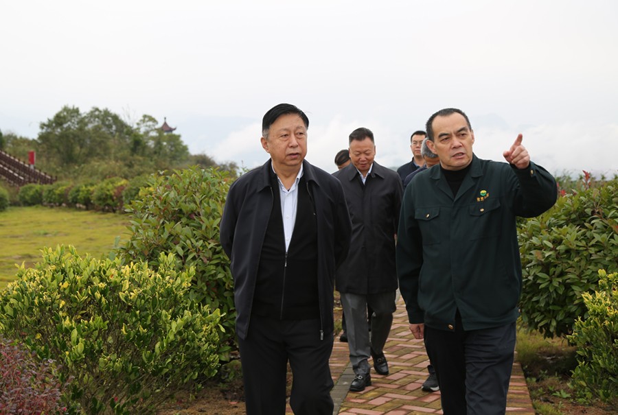 19-2021年10月，原國土資源部副部長汪民蒞臨公司調(diào)研。.jpg