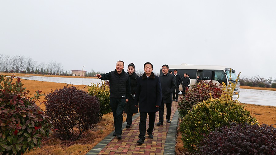 45-2020年12月，省高級人民法院黨組成員、副院長任建國蒞臨金徽股份調(diào)研知識產(chǎn)權(quán)司法保護(hù)工作。.jpg