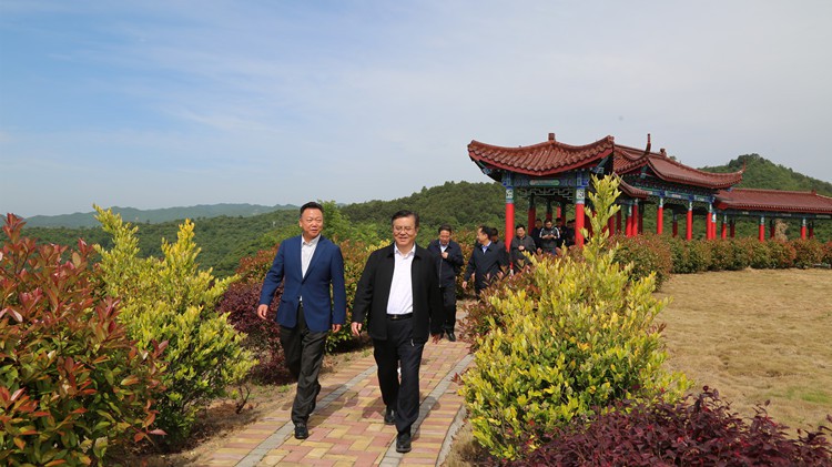省人民檢察院黨組書(shū)記、檢察長(zhǎng)朱玉調(diào)研金徽股份